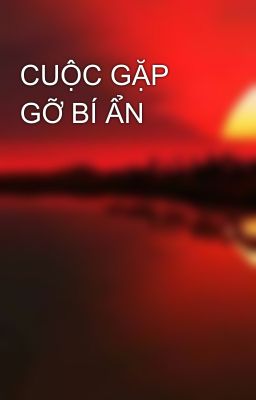 CUỘC GẶP GỠ BÍ ẨN