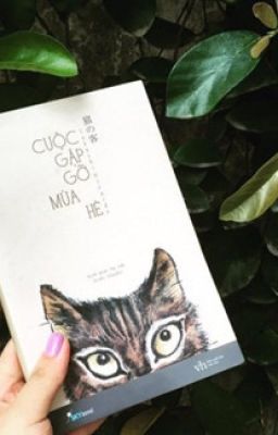 Cuộc gặp gỡ mùa hè -Takashi Hiraide