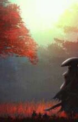Cuộc Phiêu Lưu Của Wolves