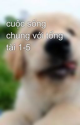 cuộc sống chung với tổng tài 1-5