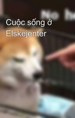 Cuộc sống ở Elskejenter