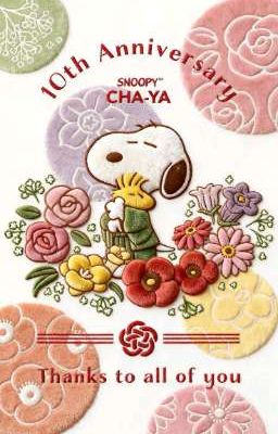 cuongson | chồng bi bot.