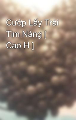 Cướp Lấy Trái Tim Nàng [ Cao H ] 