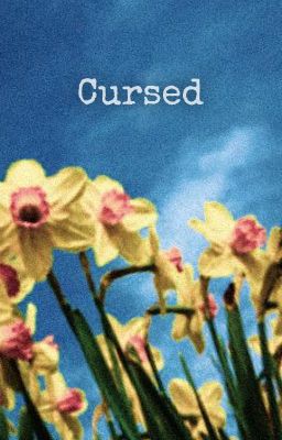 Cursed | PETEKEY