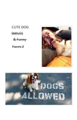 CUTE Dog SMILES & FUNNY Faces 2