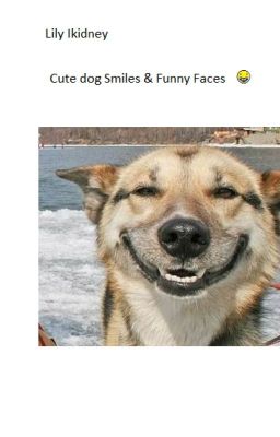 Cute dog Smiles & Funny Faces