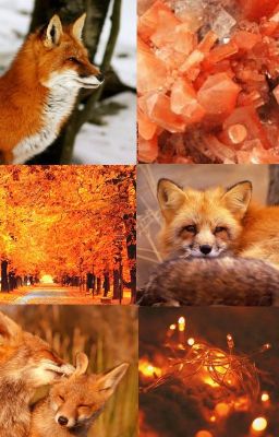 Cynefin - A Fox Therian Story