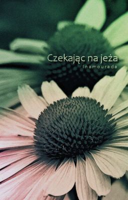 Czekając na jeża