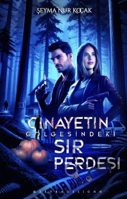 CİNAYETİN GÖLGESİNDEKİ SIR PERDESİ | 13 Dakika Serisi & 1.Kitap