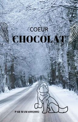 Cœur chocolat 