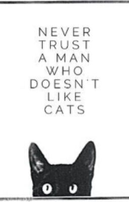 Da Cat Book .-. 