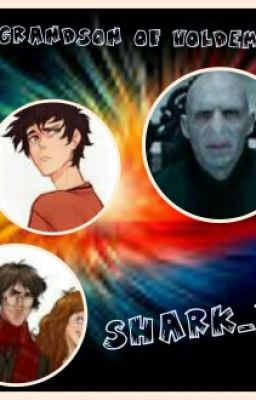 Da Grandson of Voldemort (PJ and HP fanfic)