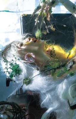 dabihawks - kiss of death