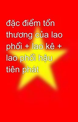 đặc điểm tổn thương của lao phổi + lao kê + lao phổi hậu tiên phát