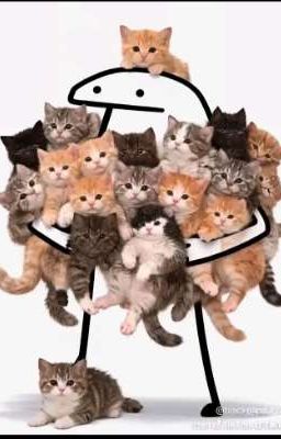 Đặc Vụ Mèo Con 🐈