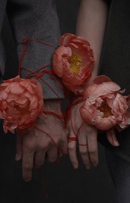 [DaChuu] Hội chứng rối loạn mất kiểm soát