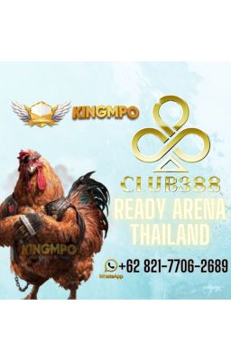 DAFTAR SABUNG AYAM CLUB388