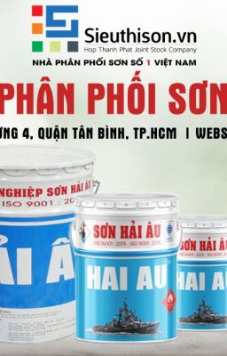 ĐẠI LÝ PHÂN PHỐI SƠN TÀU BIỂN HẢI ÂU GIÁ RẺ CHO CÔNG TRÌNH