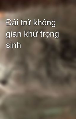 Đái trứ không gian khứ trọng sinh