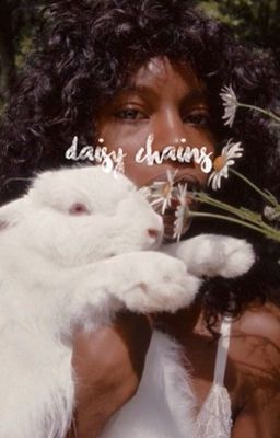 DAISY CHAINS ¹, dorcas meadowes 