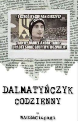 Dalmatyńczyk codzienny