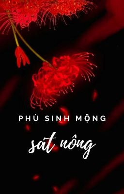 [ĐAM MỸ | EDIT] PHÙ SINH MỘNG SÁT NÔNG