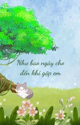 [ĐAM MỸ] NHƯ BAO NGÀY CHO ĐẾN KHI GẶP Em