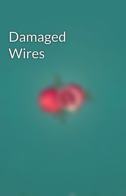 Damaged Wires