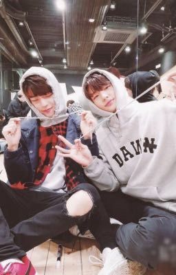 damdadi |hyunjin-seungmin