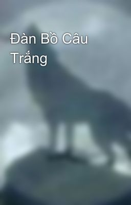 Đàn Bồ Câu Trắng