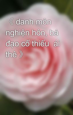 《 danh môn nghiện hôn, bá đạo cố thiếu  ái thê 》