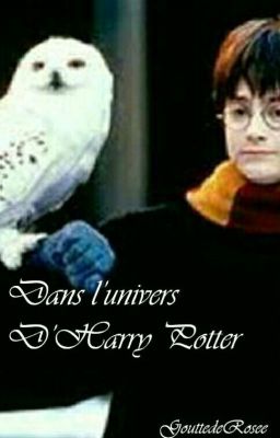 Dans l'univers d'Harry Potter ☇