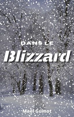 Dans le blizzard