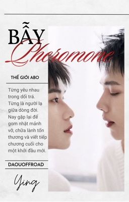 daouoffroad | bẫy pheromone