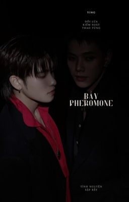 daouoffroad | bẫy pheromone