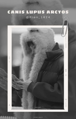 DaouOffroad & JoongDunk | CANIS LUPUS ARCTOS