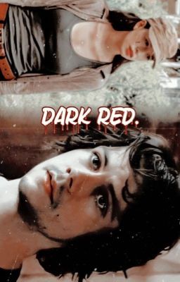 DARK RED ━ MITCH RAPP