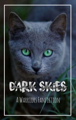  Dark Skies- Book #2 in Sunrise 