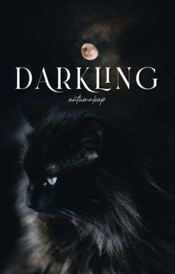 Darkling [A Warrior Cat FanFiction]