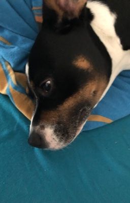 Das bin ich