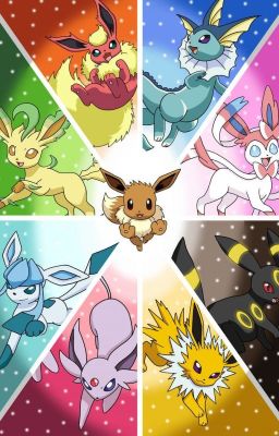 Das große Abenteuer der 8 Freunde in der Welt von den Pokémon's