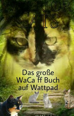 Das große WaCa ff Buch auf Wattpad