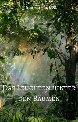 Das Leuchten hinter den Bäumen