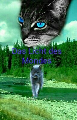 Das Licht des Mondes 