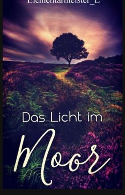 Das Licht im Moor 