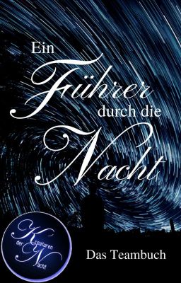 Das Teambuch - Ein Führer durch die Nacht