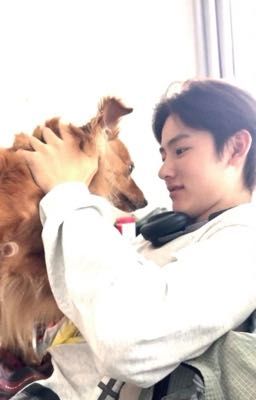 đất đỏ, men gốm ! seonghyeon