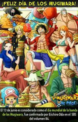 Datos - One Piece