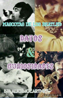 Datos y curiosidades de las mascotas de los beatles 