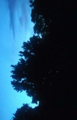 dawn